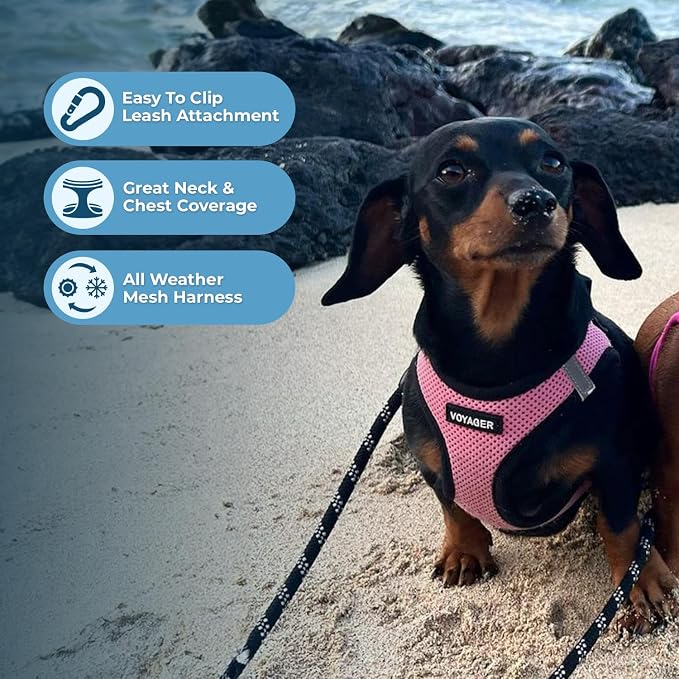 Voyager Step-in Air Dog Vest Harness - Pink/Black Trim, X-Small | 13 - 14.5" in Chest, Reflective Bands, All Weather Breathable Air Mesh, Cats Compatible, Lightweight, Fast Drying