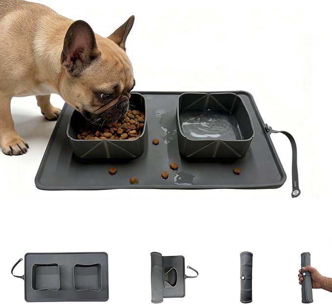No Spill Collapsible Dog Bowl with Mat, 20oz