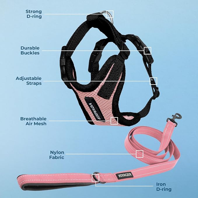Best Pet Supplies Voyager Step-in Lock Pet Harness w Reflective Pet Leash Combo Set with Neoprene Handle 5ft - Supports Small, Medium and Large Breed Puppies/Cats - Pink/Black Trim, S