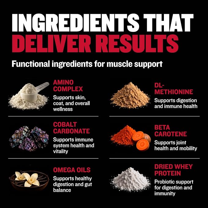 Bully Max 2-in-1 Muscle Builder Chewable Tablets for Dogs - Puppy & Dog Vitamins, Supplements for Muscle Gain & Growth - Canine Multivitamins Essentials for All Breeds & Ages - 60 Tabs, 3 Bottles