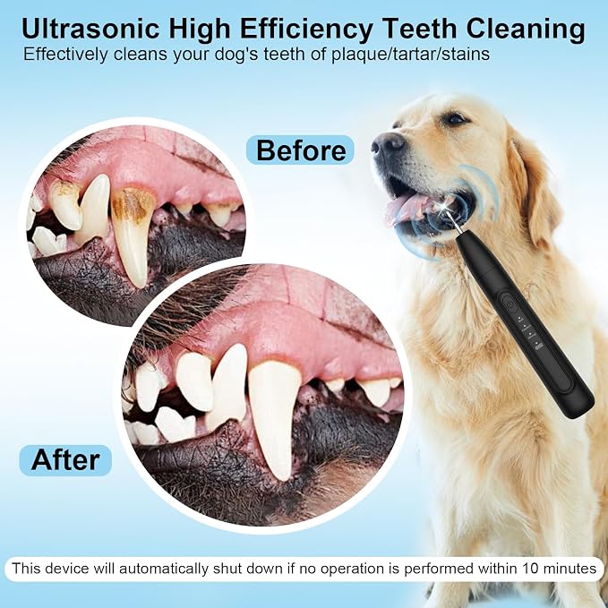 Ultrasonic Dog Plaque Remover Tool, 3 Modes Plaque and Tartar Remover for Dogs, Low Noise Sonic Dog Tartar Remover Dogs Plaque Remover with Toothbrush 2 Cleaning Head for Pet Dental Care, Black