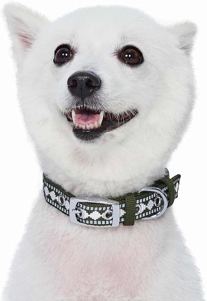 Blueberry Pet Reflective Jacquard Dog Collar with Neoprene Padding & Metal Buckle | Soft & Adjustable Safety Collar - Olive, Neck 13-16.5", for Medium Breed