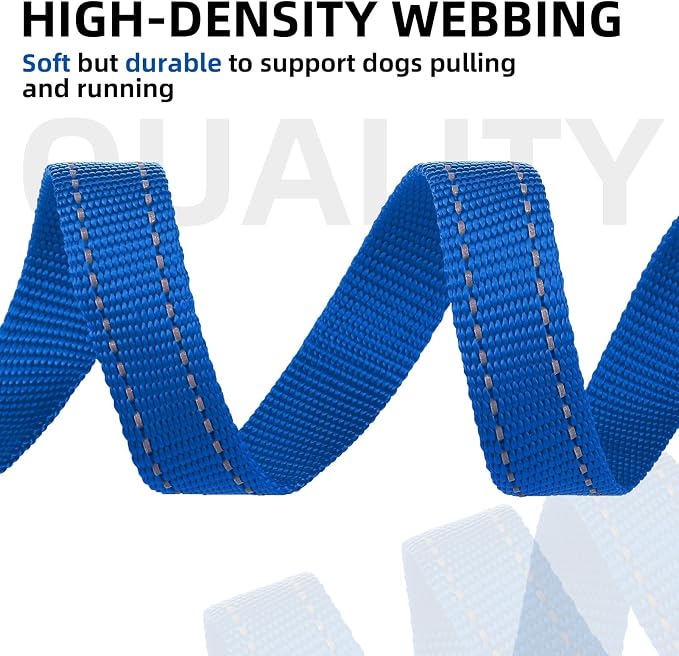PUPTECK Dog Harness and Leash Set