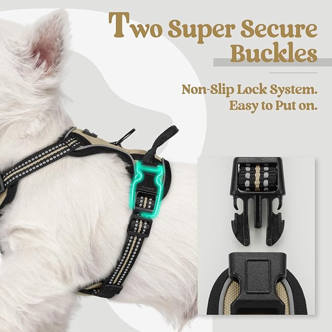 rabbitgoo Dog Harness No Pull with 2 Leash Clips, Adjustable Soft Padded, Reflective Oxford No Choke Pet Vest with Easy Control Handle for Puppy, Beige, XS | No Choke with Handle, Adjustable Soft Padded, Reflective, Easy Control for Walking, Beige, X-S...