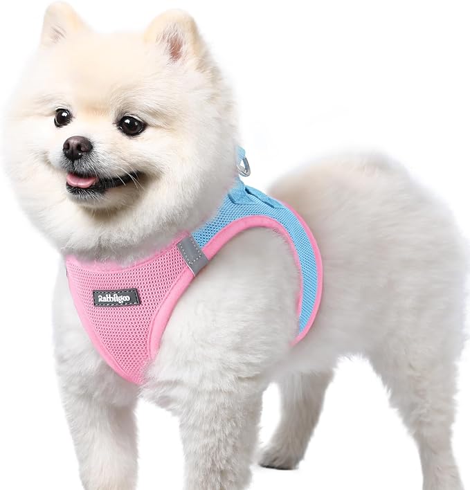 rabbitgoo Step-in Small Dog Harness, Puppy Vest for Small Sized Pet | Easy Put on and off, Lightweight, Soft, Breathable Quick-Dry Air Mesh for Comfortable Secure Walking, Blue & Light Pink S