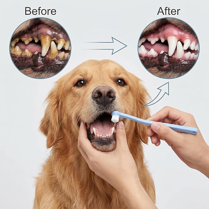 8Pcs Dog Toothbrush Set Small Cat Toothbrush Dual Headed Pet Tooth Brushes Mini Head Soft Dog Cat Tooth Brush for Small to Large Dogs Cats and Most Pets Teeth Brush Easy to Use