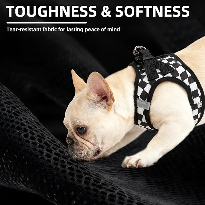 PUPTECK Adjustable Dog Harness Collar and Leash Set Step in No Pull Pet Harness for Small Medium Dogs Puppy and Cats Outdoor Walking Running, Checkered Black&White S