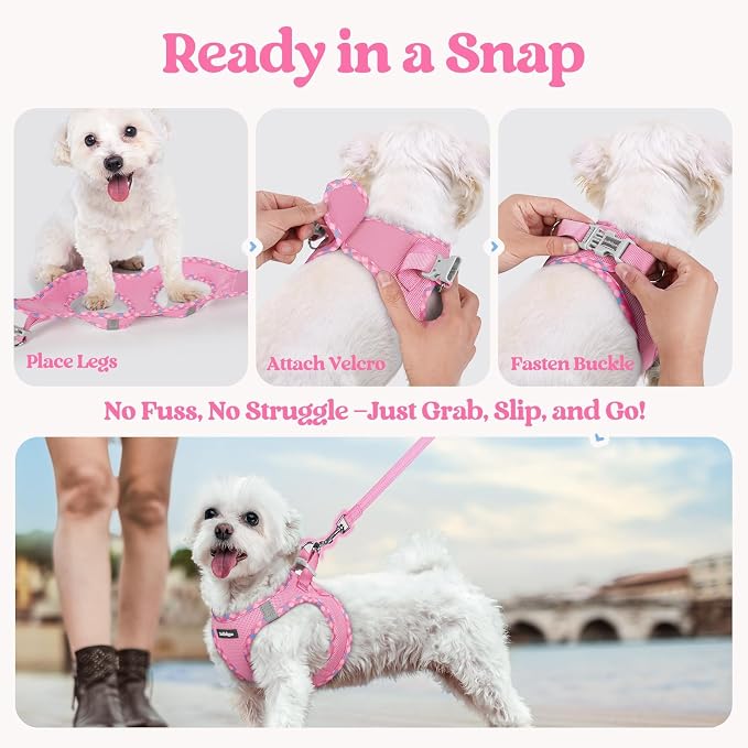 rabbitgoo Dog Harness Small Sized and Leash Set, Step-in Puppy Pet Vest | Light, Soft, Breathable Air Mesh, Easy on and Remove with Hook & Loop, Secure Reflective for Walking, Pink & Plaid Trim XXS