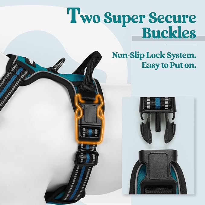 rabbitgoo Dog Harness, No Pull Medium Sized with 2 Leash Clips, Pet Vest | No Choke with Handle, Adjustable Soft Padded, Reflective, Easy Control for Walking, Blue Coral, Medium