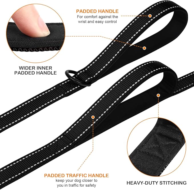Joytale Dog Leash for Large Dogs that Pull, Double Handle, 6FT, Black | Traffic Handle for Control, Padded Handle Reduces Hand Strain, Reflective Stitching for Night Safety, Strong Nylon Webbing