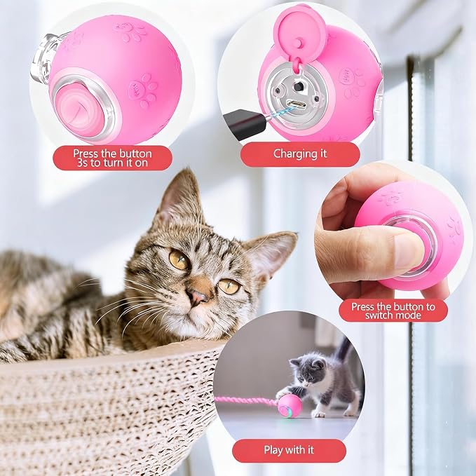 Speed 2.0 Tail Interactive Cat Toys, Rechargeable Ball for Indoor Cats | Motion-Activated Rolling Ball with Chirping Sounds, Cat Toys Interactive for Kittens and Adult Cats, Enrichment and Exercise