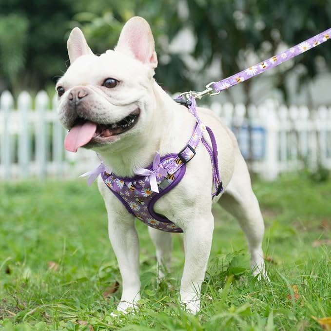 PUPTECK Dog Harness and Leash Set Medium Sized, Step in No Pull Adjustable Puppy Cat Harness Reflective Pet Vest