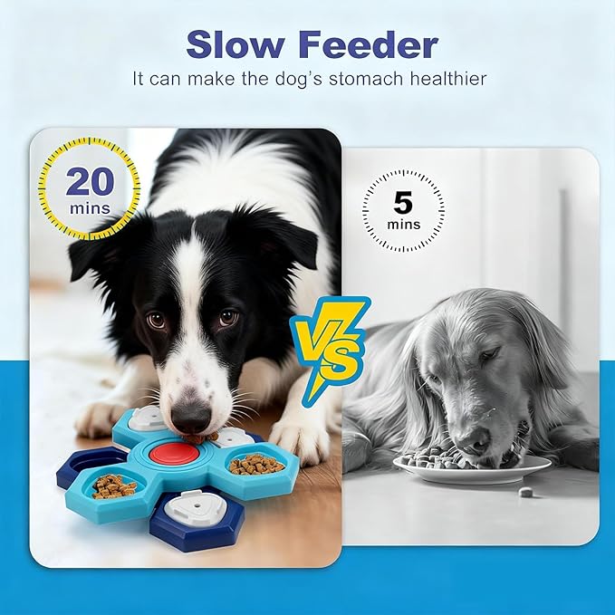 Dog Slow Feeder - Interactive Dog Food Puzzle Toy, Treat Maze Game for Dogs & Cats, Mental Stimulation & Boredom Relief, Adjustable Difficulty Pet Enrichment Toy (Two Layers)