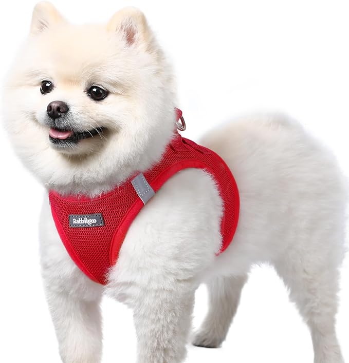 rabbitgoo Step-in Small Dog Harness, Puppy Vest for Small Sized Pet | Easy Put on and off, Lightweight, Soft, Breathable Quick-Dry Air Mesh for Comfortable Secure Walking, Red S