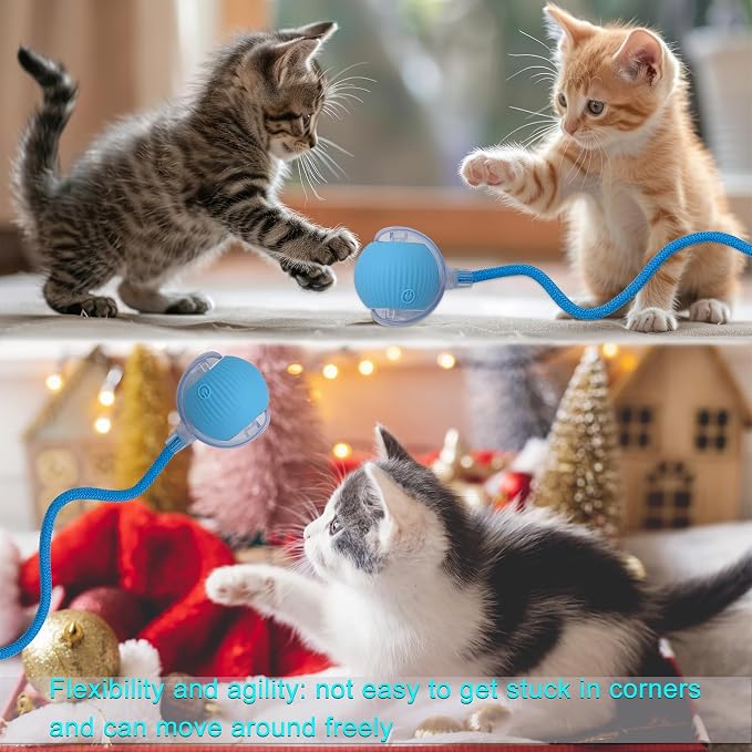 Interactive Cat Dog Toy Ball with LED Light, Automatic Rolling(Blue) | String Tail and LED Light Design, Motion Activated, Suitable for Interactive Indoor Pet Play and Exercise