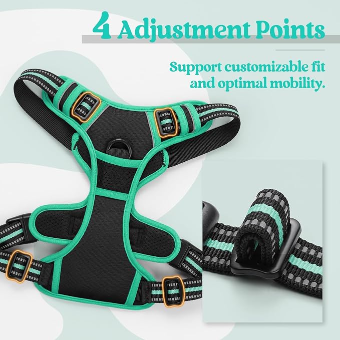 rabbitgoo Dog Harness, No Pull for Small Dogs with 2 Leash Clips, Pet Vest | No Choke with Handle, Adjustable Soft Padded, Reflective, Easy Control for Walking, Black & Turquoise, Small