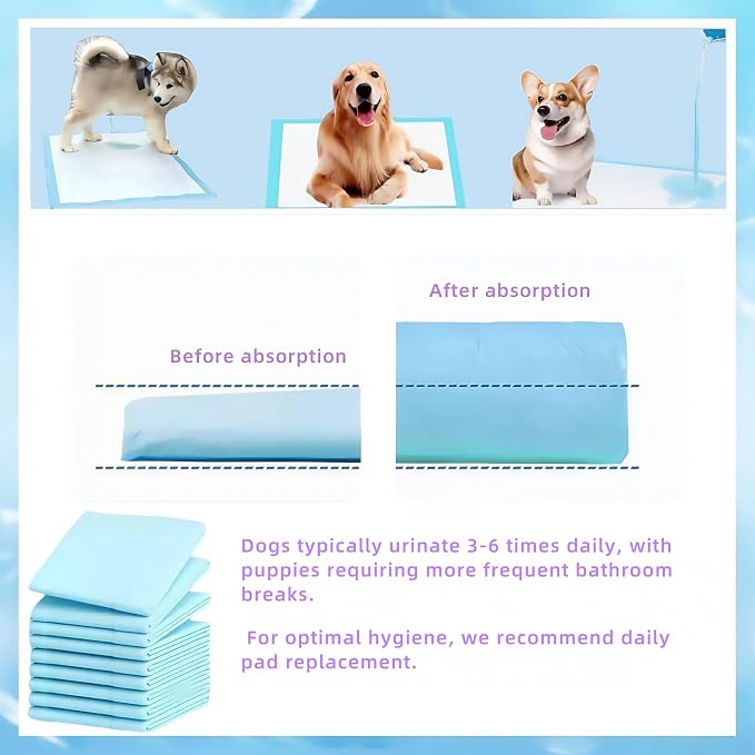 dog pee pad - Medium (23.5" x 17.5") | 6-Layer Leak-Resistant Design | High-Capacity Absorbent Core & Quick-Dry Surface (Medium, Count, 100)