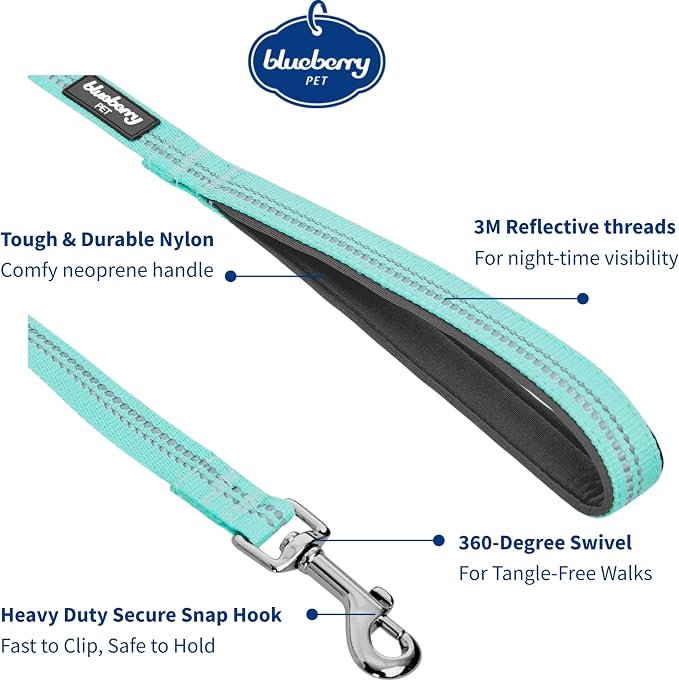 Blueberry Pet 3M Reflective Pastel Color Dog Leash with Soft & Comfortable Handle, 4 ft x 1", Mint Blue, Large, Leashes for Dogs
