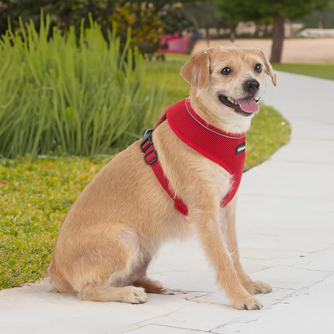 Best Pet Supplies Voyager Aerolite Over the Head Dog Harness, No Pull Breathable Air Mesh Vest, Quick Dry with Reflective Stitching, Adjustable Escape Resistant Harness - Red, Small