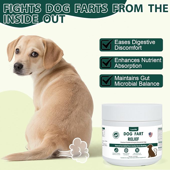 Dog Fart Remedy with 4B CFU Pediococcus Acidilactici Probiotics & Digestive Enzymes, Helps Reduce Smelly Gas & Bloating, Supports Dog Gut Health & Digestive Balance, Powder for Dogs – 5 oz