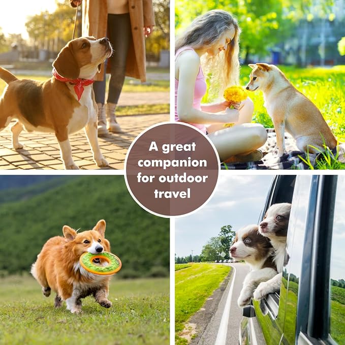 Collapsible Dog Bowls, Travel Double Bowl, Small/60oz