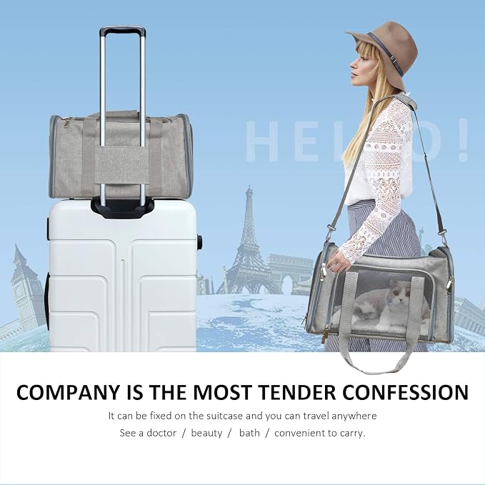 Henkelion Cat & Dog Carrier, Small/Medium Up to 15 lbs, TSA Airline Approved, Waterproof, Grey
