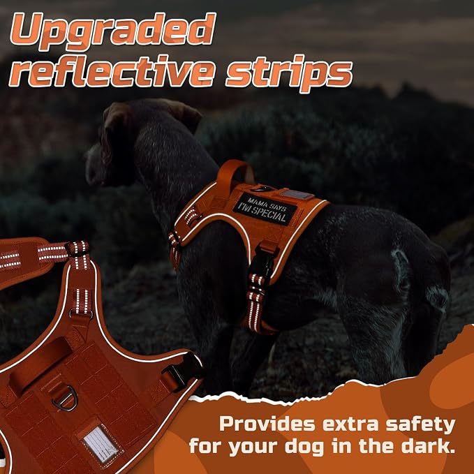 rabbitgoo Tactical Dog Harness for X-Large, No Pull Military Service Vest | Molle & Handle, Heavy Duty, Adjustable, Reflective Straps, Easy Control for Training Walking, Orange, X-Large