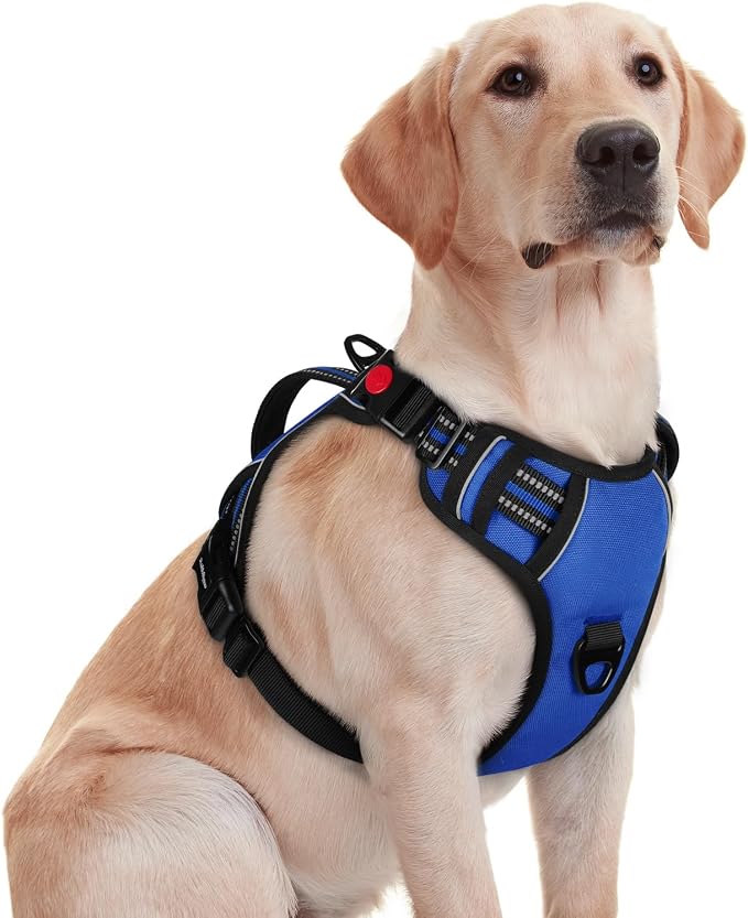 rabbitgoo Large Dog Harness, Easy Wear with 3 Buckles and Lift Handle | No Pull with Front Clip for Walking, Adjustable Soft Padded, Reflective, Easy Control, Blue, Medium