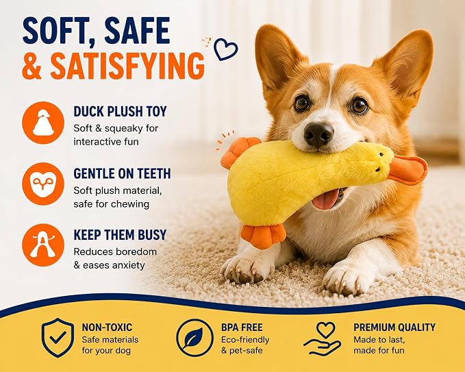 Dog Toys for Small Dogs, 5 Pack Interactive Dog Toy Set with Squeaky Latex Ball, Duck Plush Toy, Rope Tug Toy and Waste Bags, Indoor Fetch, Chew & Play Toys for Small Breeds (Blue/White)