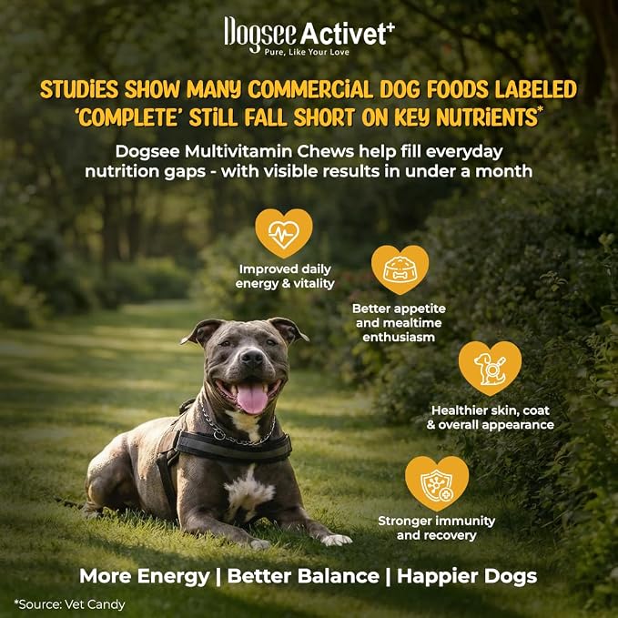 Dogsee Activet+ Dog 12 in 1 Multivitamin Supplement Chews, with Vitamins, Minerals, Probiotics, Omega 3 & Glucosamine for Overall Dog Health, Chicken Flavor – 90 Chews