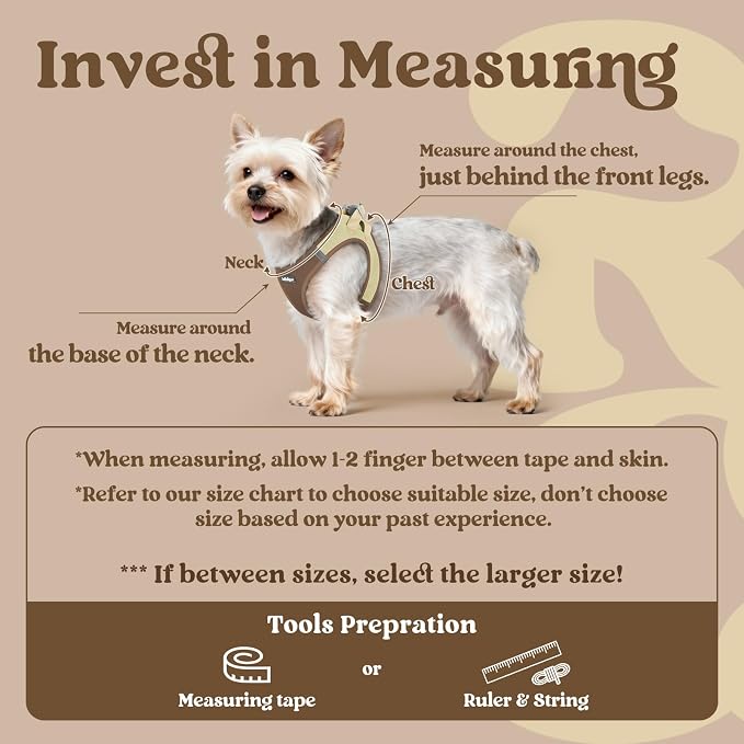 rabbitgoo Step-in Small Dog Harness, Puppy Vest for Small Sized Pet | Easy Put on and off, Lightweight, Soft, Breathable Quick-Dry Air Mesh for Comfortable Secure Walking, Brown & Beige M