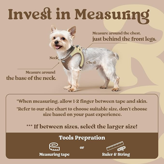 rabbitgoo Step-in Small Dog Harness, Puppy Vest for Small Sized Pet | Easy Put on and off, Lightweight, Soft, Breathable Quick-Dry Air Mesh for Comfortable Secure Walking, Brown & Beige XS