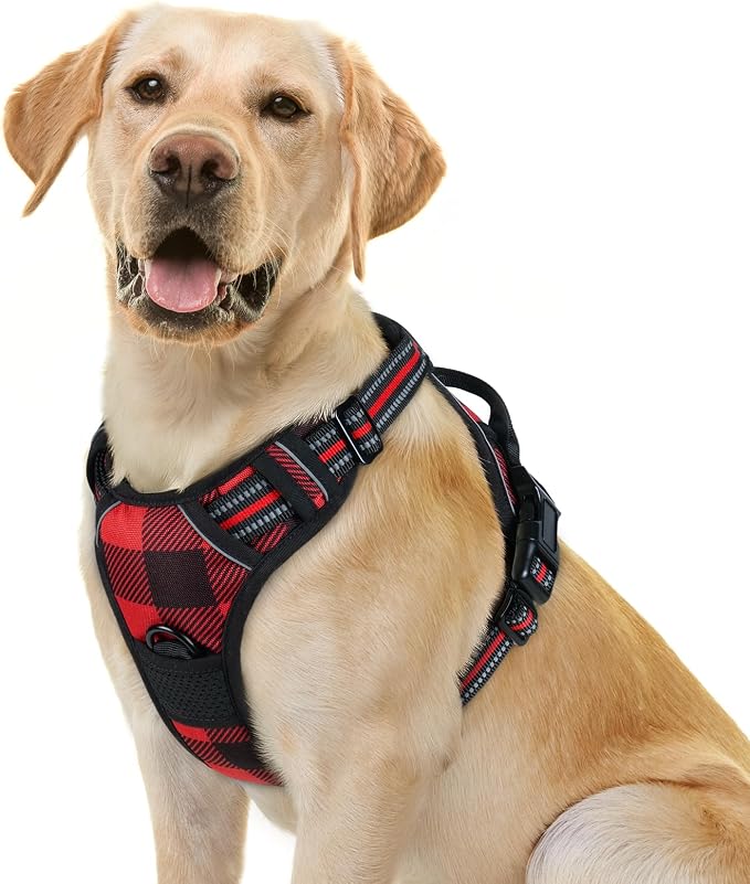 rabbitgoo Dog Harness, No Pull for Large Dogs with 2 Leash Clips, Pet Vest | No Choke with Handle, Adjustable Soft Padded, Reflective, Easy Control for Walking, Red Plaid, Small