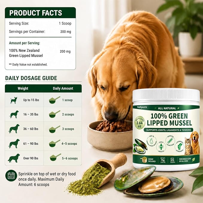 Pure Green Lipped Mussel Powder for Dogs & Cats – 100% Natural Hip & Joint Supplement Powder Supports Joints, Tendons, Ligaments & Muscles – 75 Grams – Up to 375 Servings