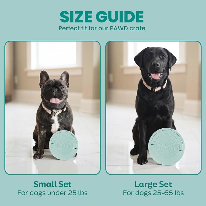 KindTail Dog Travel Bowls, Set of 2, with Lid & Handle