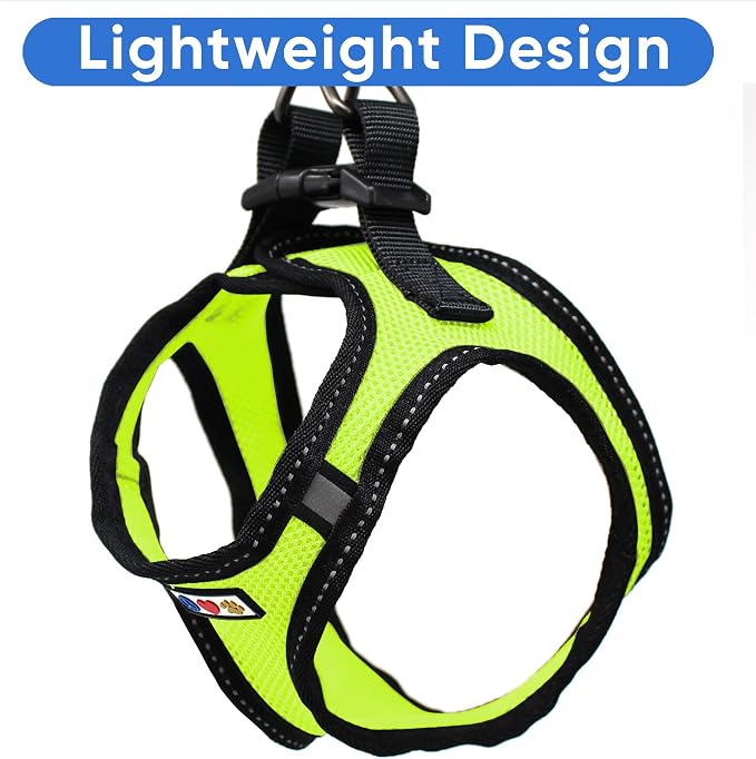 Pawtitas Dog Vest Harness Made with Breathable Air Mesh | All Weather Vest Harness for Extra Large Dogs with Quick-Release Buckle - Green Mesh Dog Harness for Training and Walking Your Pet.