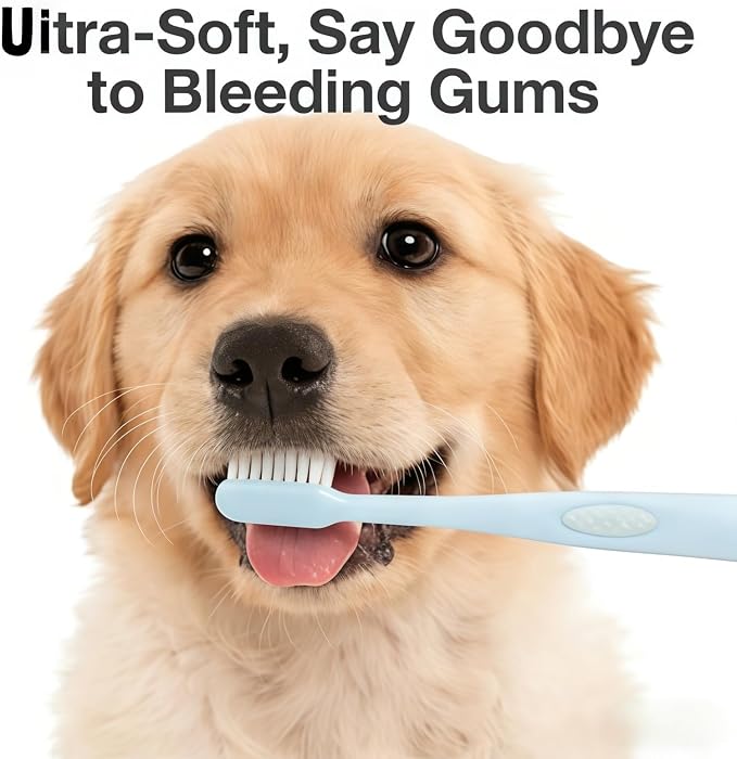 CGO Angled Soft Bristle Dog Toothbrush for Large Breeds – Ergonomic Curved Handle, Deep Cleaning for Medium & Large Dogs’ Teeth & Gum Line – Not for Puppies or Small Breeds