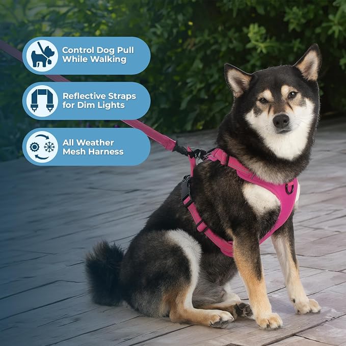 Voyager Dual Attachment No Pull Harness - Fuchsia, X-Large | 28 - 37" in Chest, No Pull Dog Harness, Fully Adjustable, 3M Reflective Technology, Front & Back D-Rings, Walking & Training