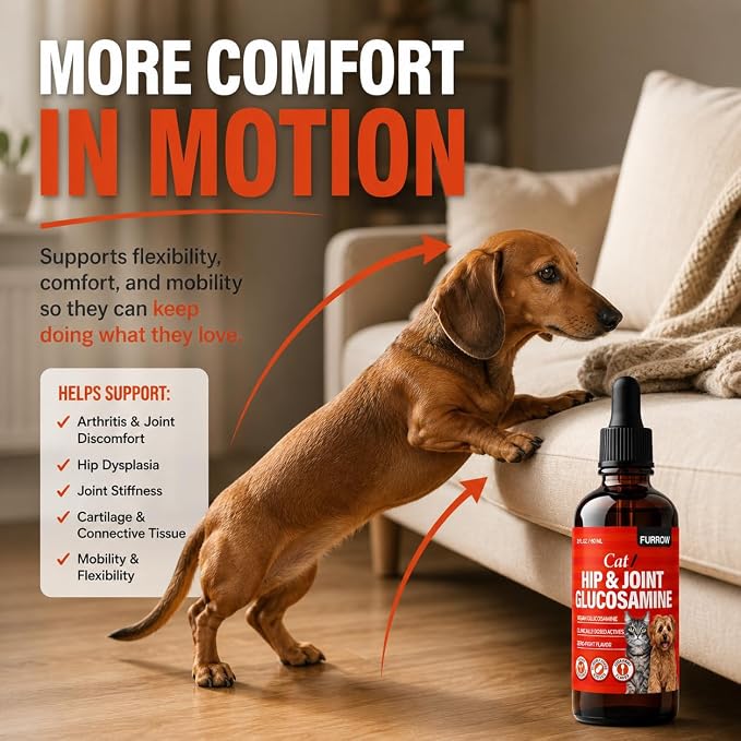Furrow Liquid Glucosamine for Cats and Small Dogs — Hip & Joint Supplement with MSM, Chondroitin, Taurine & Hyaluronic Acid, Chicken Gravy Flavor — Joint Support for Pets Under 22 lbs