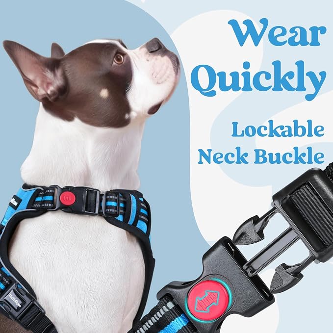 rabbitgoo Dog Harness Medium Sized, Updated Easy On & Off with 3 Buckles | No Pull No Choke, Walking with 2 Clips and Handle, Adjustable Soft Reflective, Sky Blue, Medium