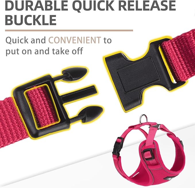 PUPTECK Small Dog Harness and Leash Set, No Pull Adjustable Puppy Cat Harness, Reflective Soft Mesh Pet Vest Small Sized, Fuchsia, XS