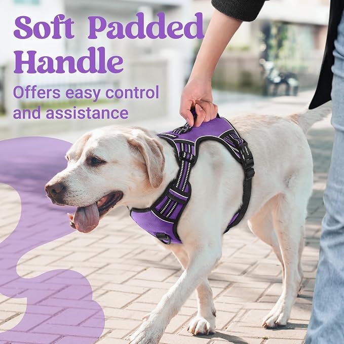 rabbitgoo Large Dog Harness, Easy Wear with 3 Buckles and Lift Handle | No Pull with Front Clip for Walking, Adjustable Soft Padded, Reflective, Easy Control, Purple, Small