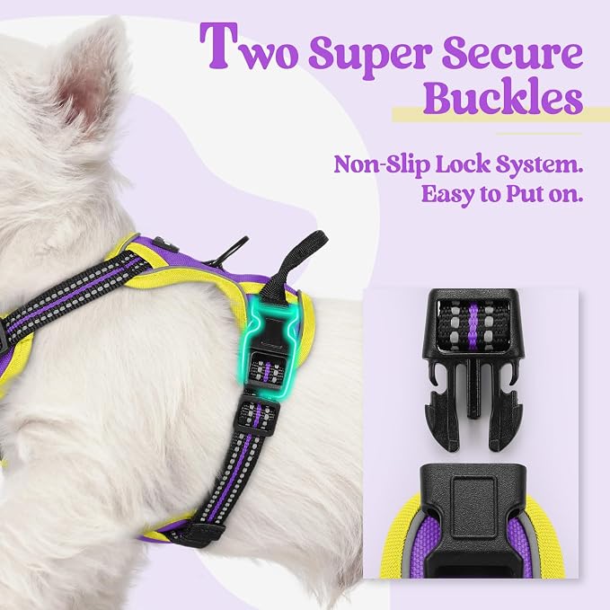 rabbitgoo Dog Harness, No Pull for Small Dogs with 2 Leash Clips, Pet Vest | No Choke with Handle, Adjustable Soft Padded, Reflective, Easy Control for Walking, Purple & Yellow, X-Small