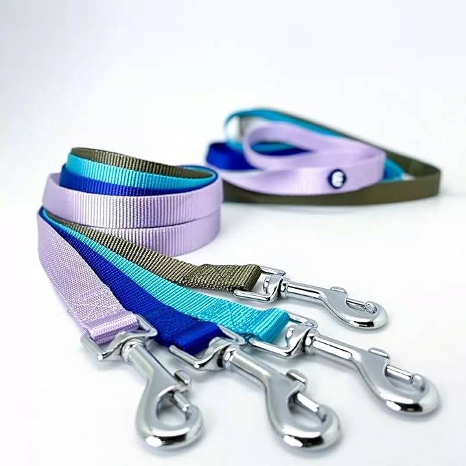 Blueberry Pet Essentials Flint Gray Dog Leash for Medium - 5' * 3/4" Dogs | Heavy Duty Nylon Lead | Lightweight Puppy & Cat Leash for Walking & Training