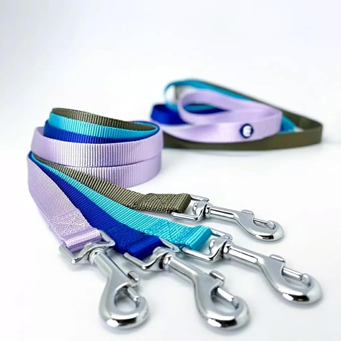 Blueberry Pet Essentials Purple Dog Leash for Small -5' * 5/8" Dogs | Heavy Duty Nylon Lead | Lightweight Puppy & Cat Leash for Walking & Training