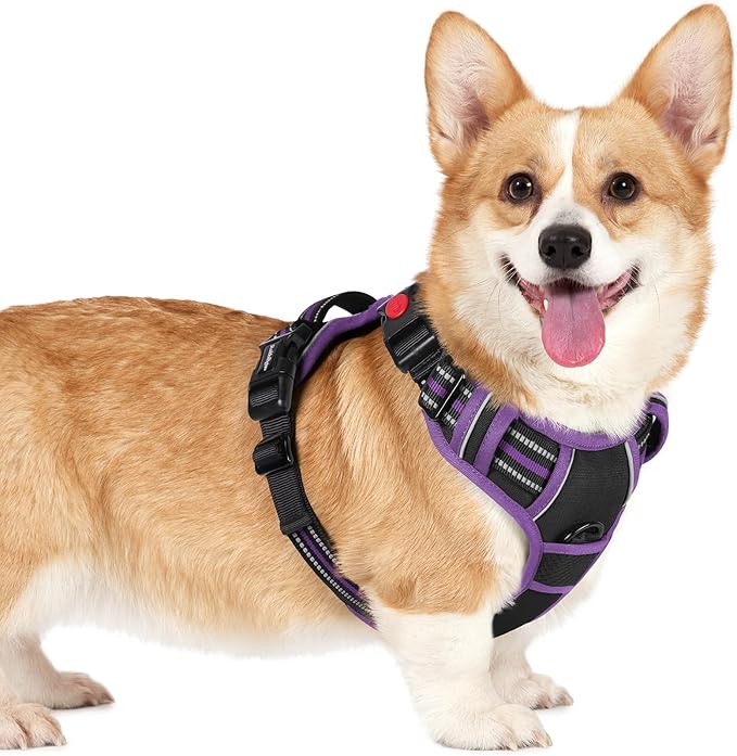 rabbitgoo Dog Harness Small Sized, Updated Easy On & Off with 3 Buckles | No Pull No Choke, Walking with 2 Clips and Handle, Adjustable Soft Reflective, Black & Purple, Small