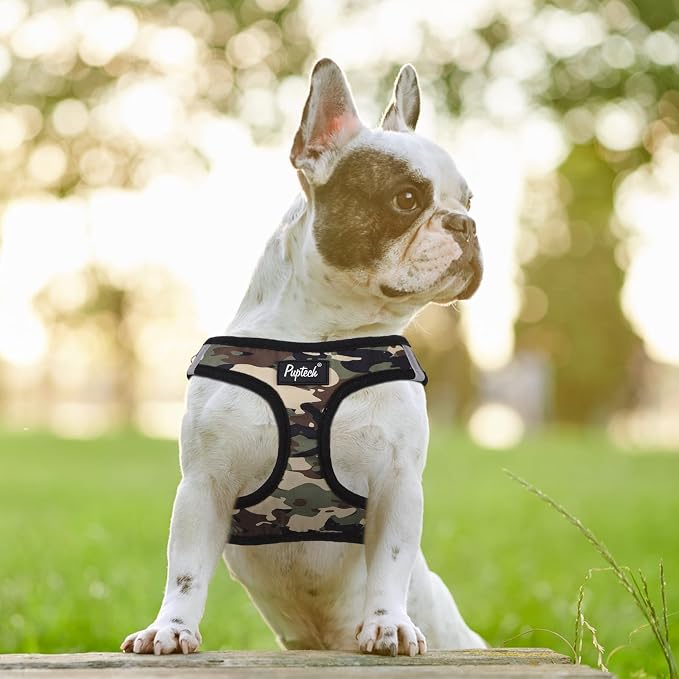 PUPTECK Dog Harness and Leash Set for Small Medium Dogs No Pull Step-in Soft Mesh Puppy Cat Vest Harnesses Reflective at Night, Camouflage, L