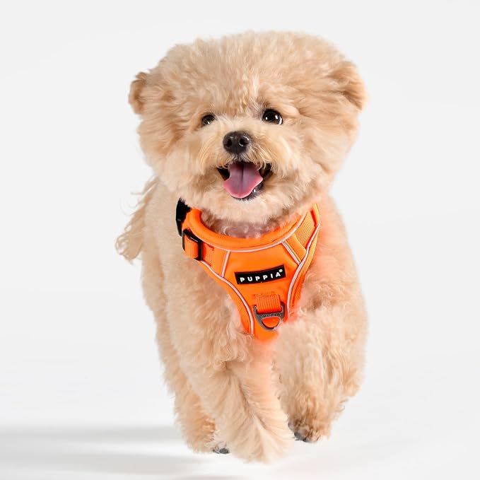 Puppia Neon Dog Harness H Sturdy Adjustable Neck and Chest Reflective Front and Back D-Ring for Small and Medium Dogs, Orange, Medium