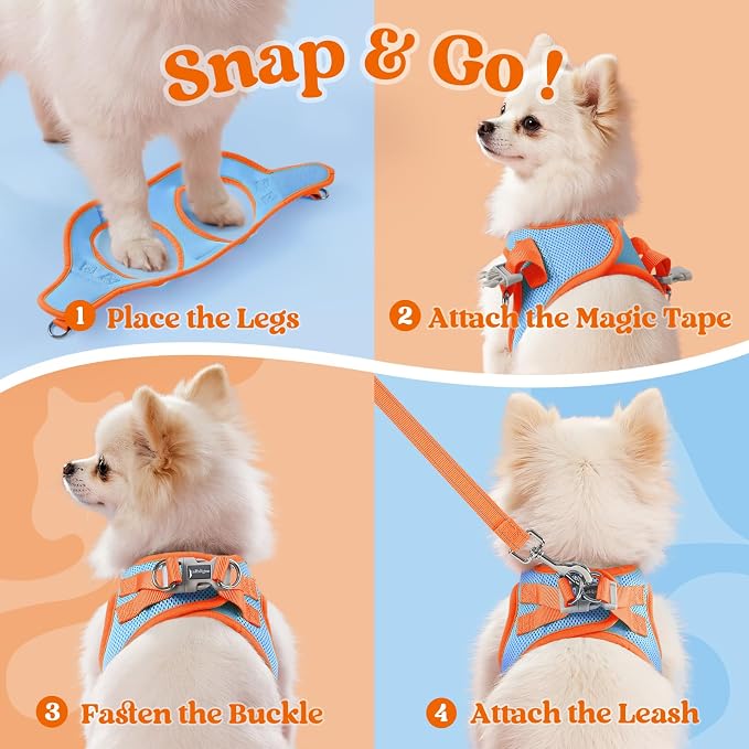 rabbitgoo Dog Harness Small Sized and Leash Set, Step in Soft Vest | Breathable Mesh, Easy Wear with Hook & Loop, Light and Reflective for Walking, Multi-colored, Blue & Orange, XS