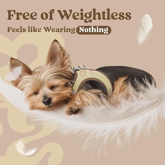 rabbitgoo Step-in Small Dog Harness, Puppy Vest for Small Sized Pet | Easy Put on and off, Lightweight, Soft, Breathable Quick-Dry Air Mesh for Comfortable Secure Walking, Brown & Beige XXS